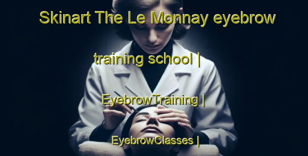 Skinart The Le Monnay eyebrow training school | EyebrowTraining | EyebrowClasses | SkinartTraining-France